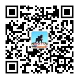 1604635551666296.jpg